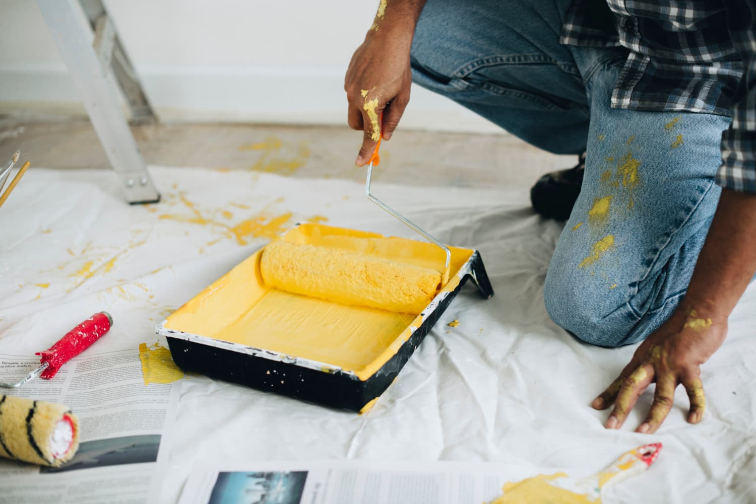Paint / Painter